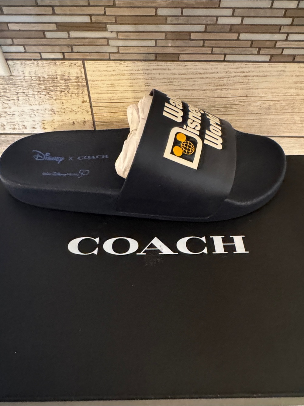 Coach Black Disney x Coach World Graphic Slide